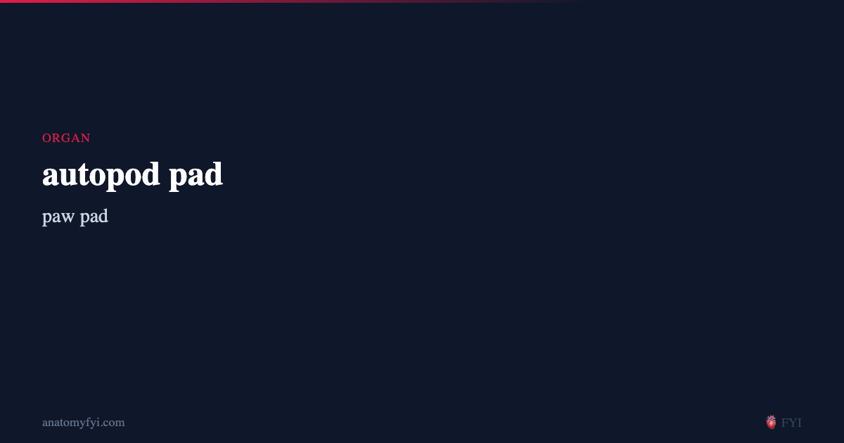 autopod pad