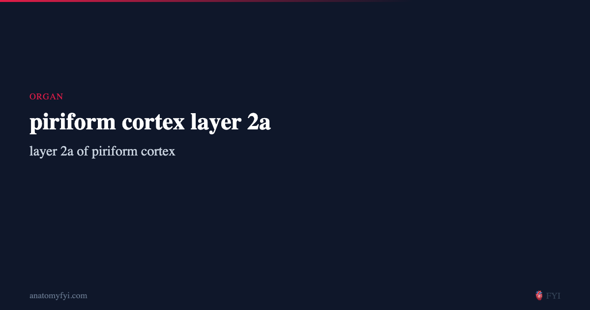 piriform cortex layer 2a