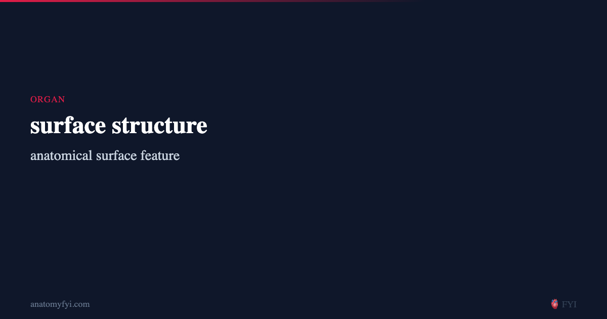 surface structure